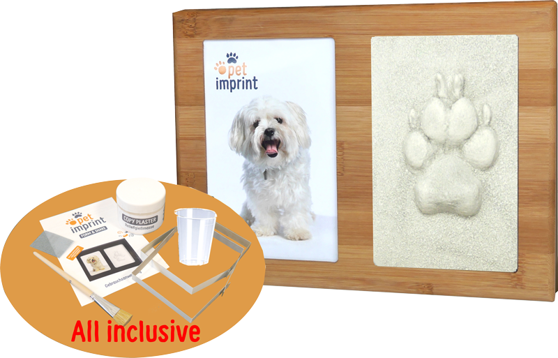Pet Imprint Shanghai
