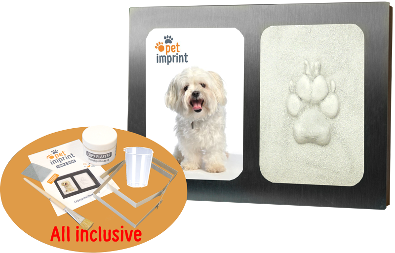 Pet Imprint Shanghai