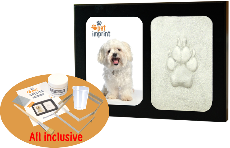 Pet Imprint Vegas